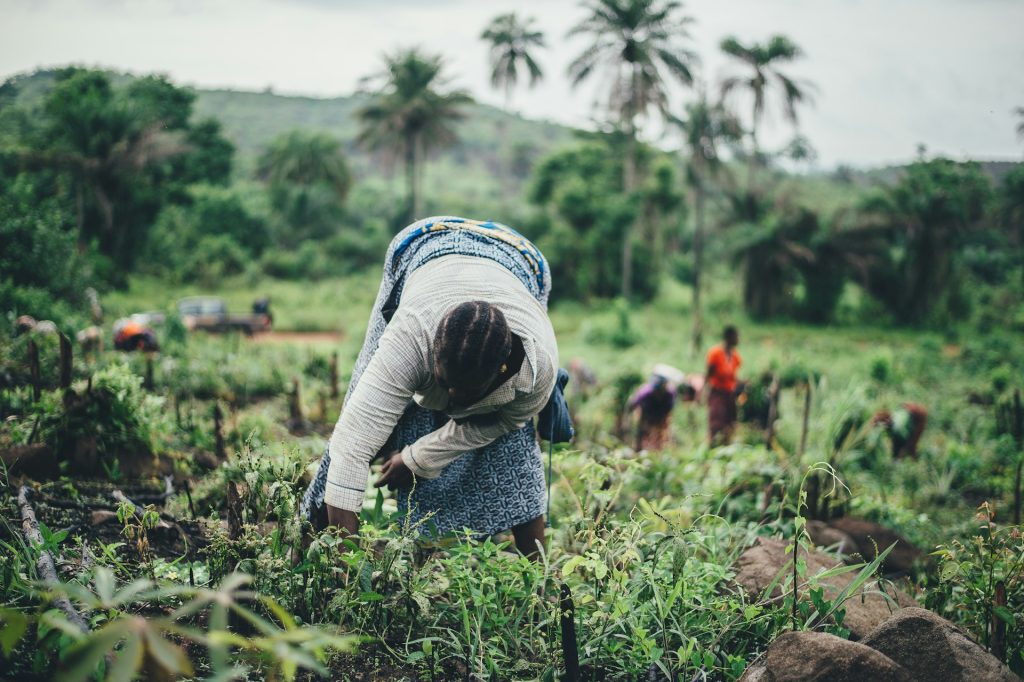 annie-spratt-QYcSeY7vuZM-unsplash